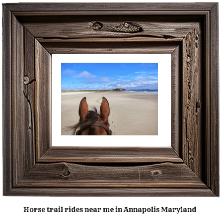 horse trail rides near me in Annapolis, Maryland